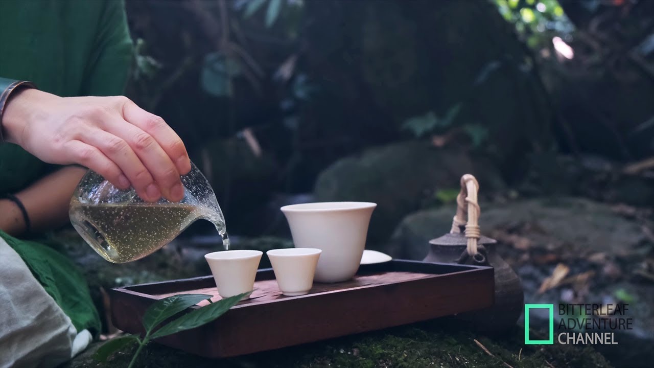 Brewing Puer with a View in Mengsong, Yunnan