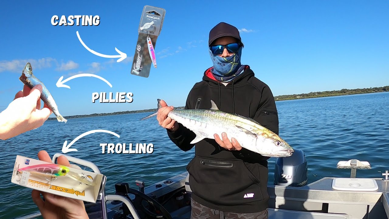 THREE ways to catch SCHOOL MACKEREL in Moreton Bay.