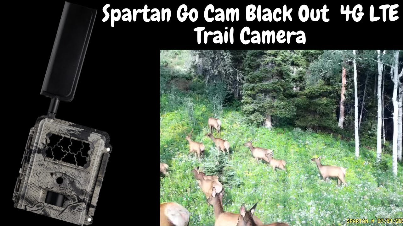 SPARTAN GO CAM BLACK OUT 4G LTE TRAIL CAMERA MOUNTAIN REVIEW