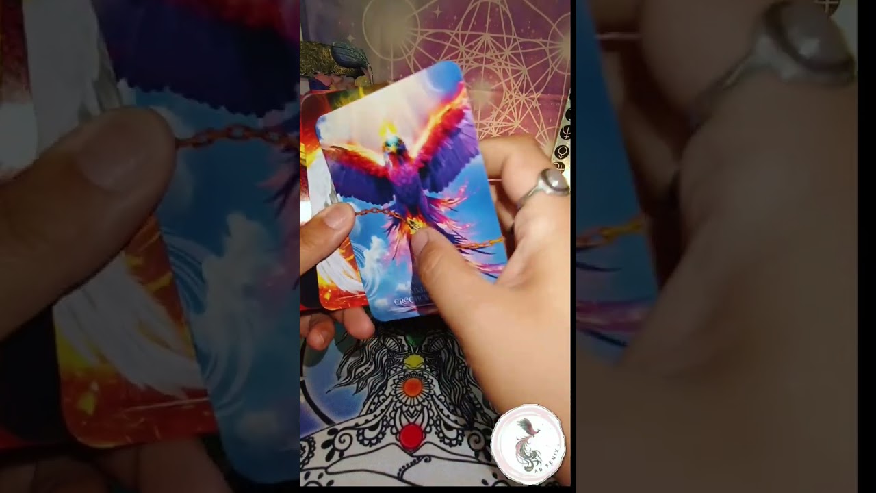 Unboxing del Oráculo Del Fénix 🐦‍🔥