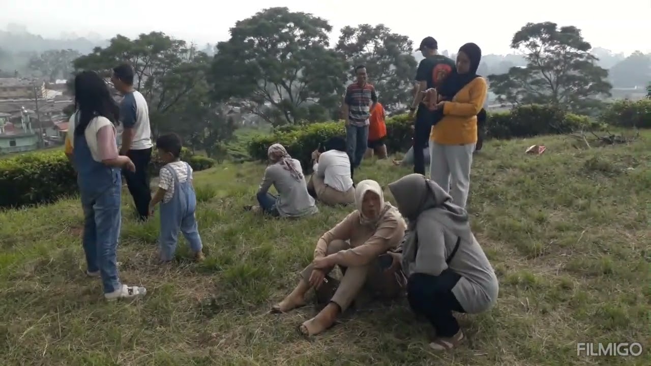 Kebun teh