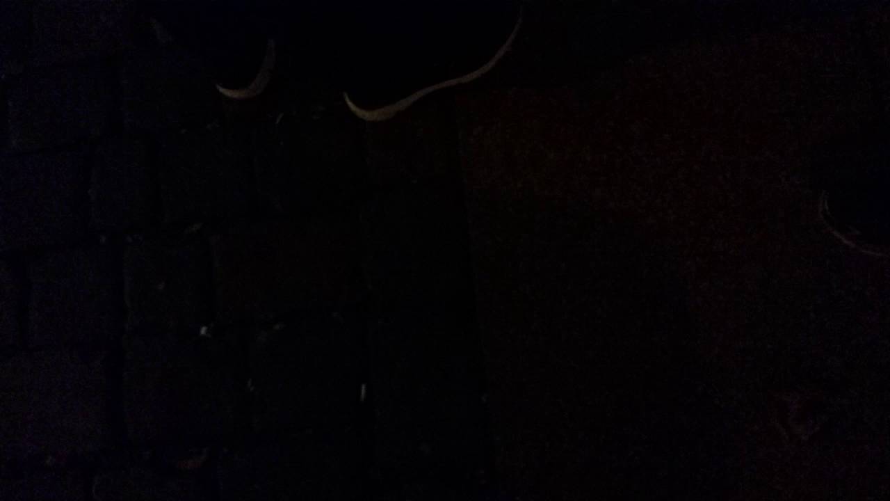 Leipziger Osten auf dem Weg zum Esports Event DHDE16