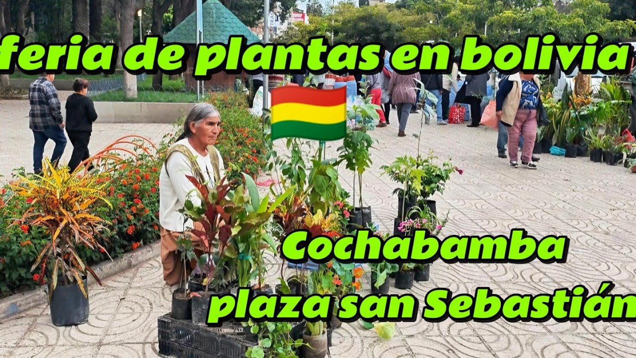 Feria en plaza san sebastian- cochabamba BOLIVIA 🇧🇴