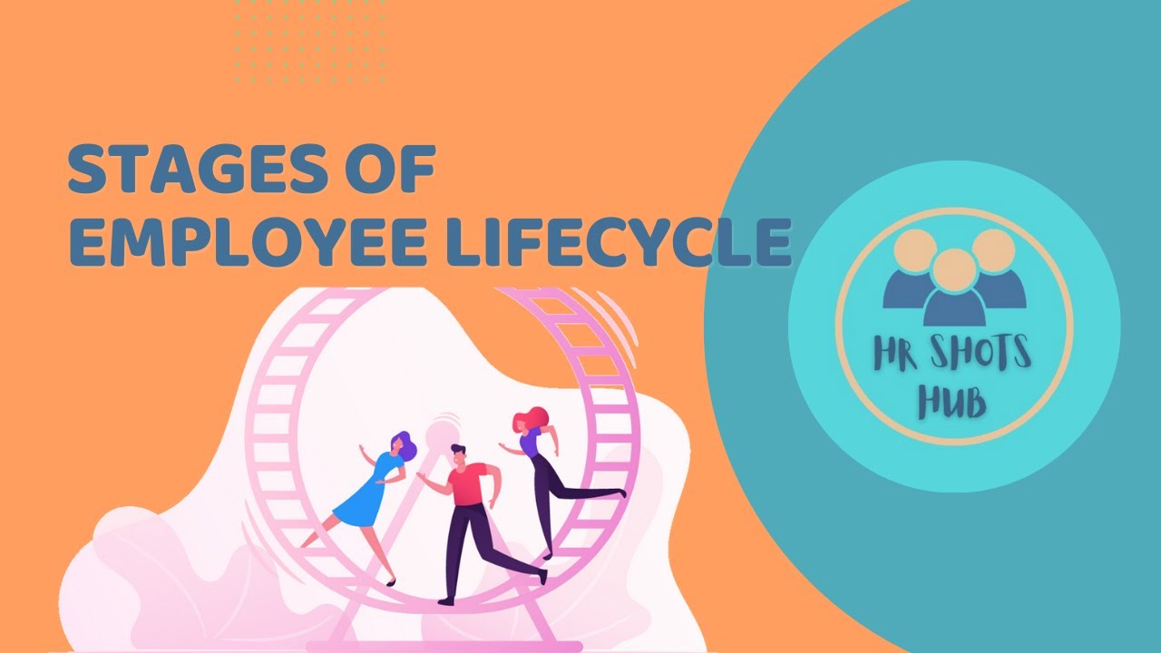 What are the six stages of Employee Lifecycle?