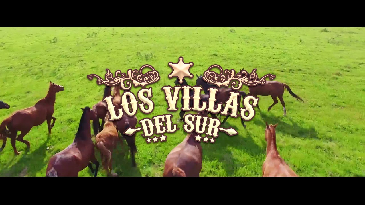 LOS VILLAS DEL SUR - MIX VILLA BAILABLE ( Estreno 2021 )
