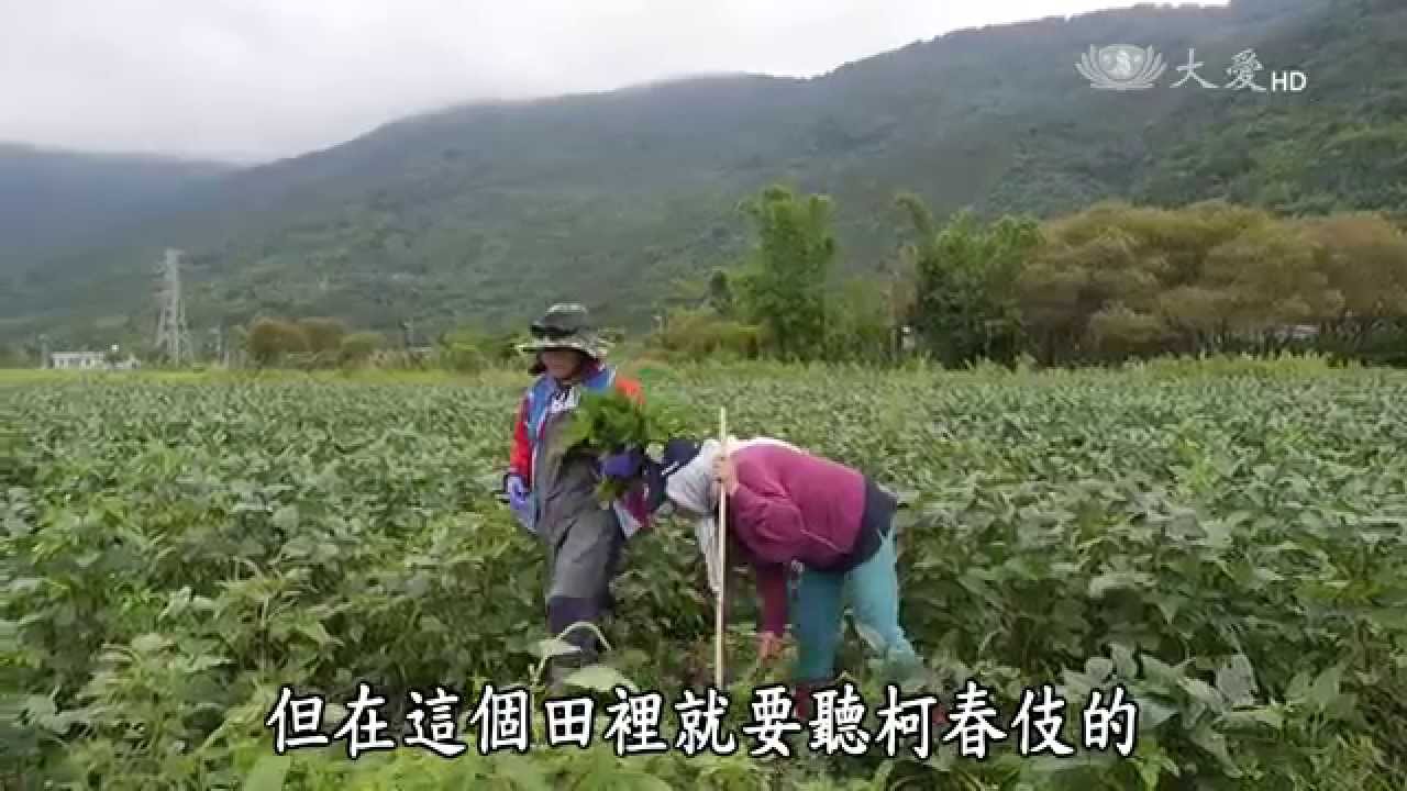 【農夫與他的田】20150803 - 部落媽媽的心願