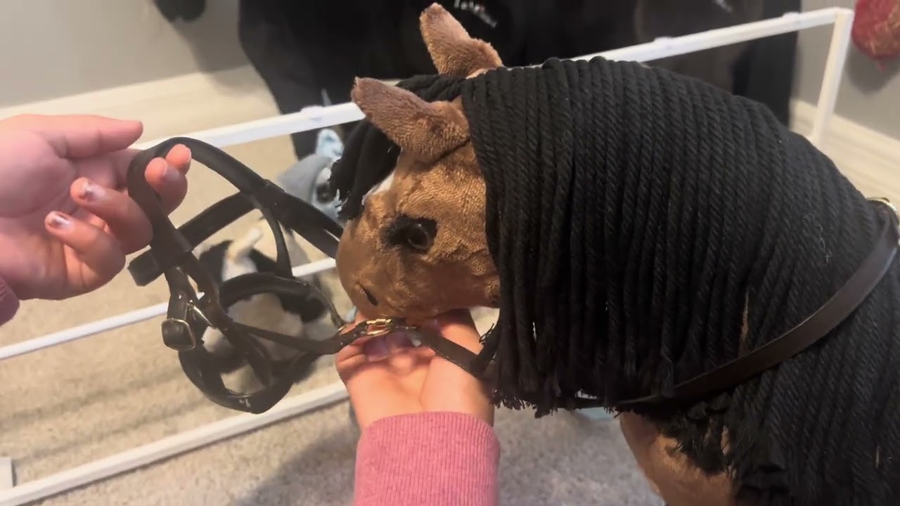 Take Gracie On A Winter Ride With Me