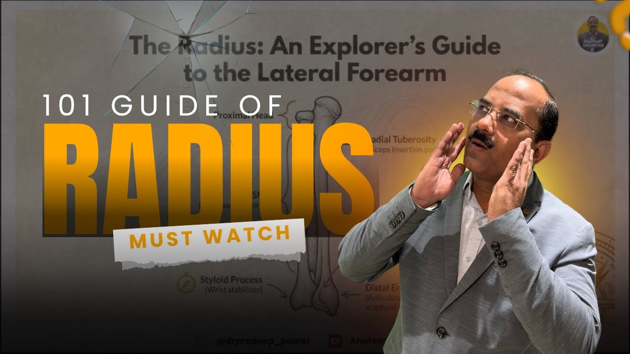How to Identify the Radius & Its Landmarks