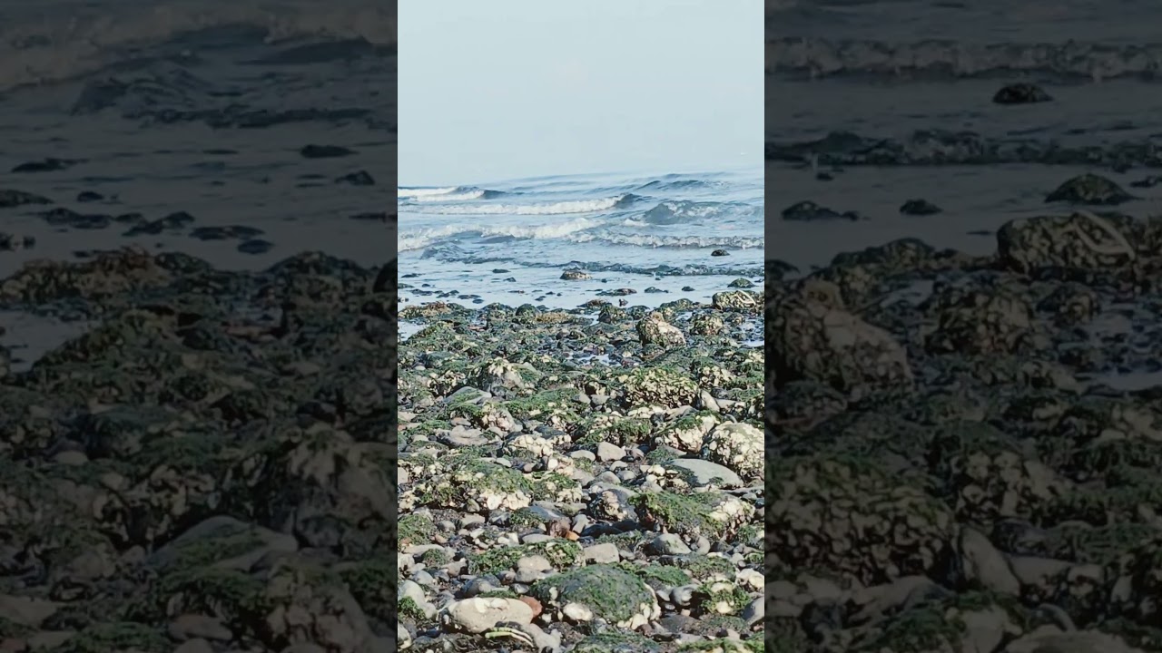 Relaxing Wave Sound #anaraquelhernandez #beachsideserenity #beach #calmingnature #relaxingsounds