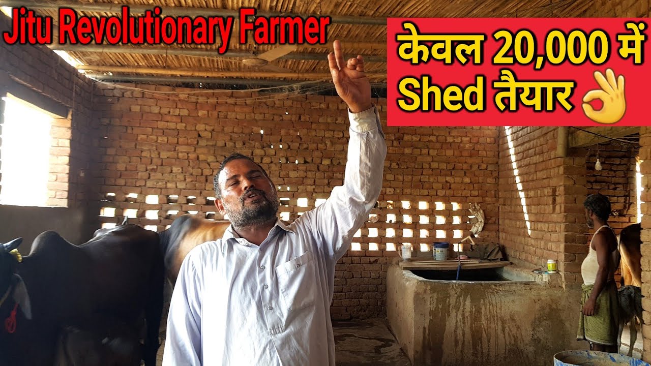 👍सबसे सस्ता और मजबूत Shed -14 गायों के लिए- ऐसे तैयार करें.👍