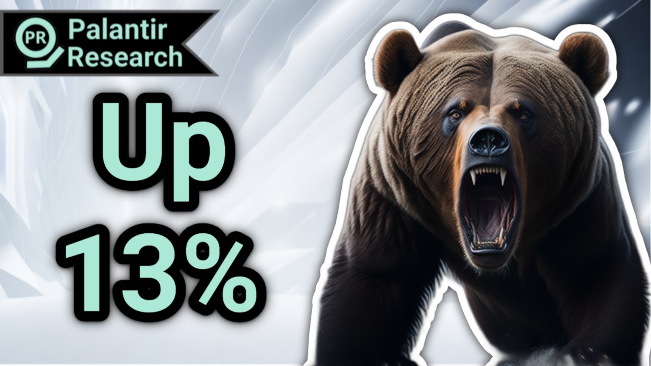 Palantir Will Sell Off? | PLTR Stock