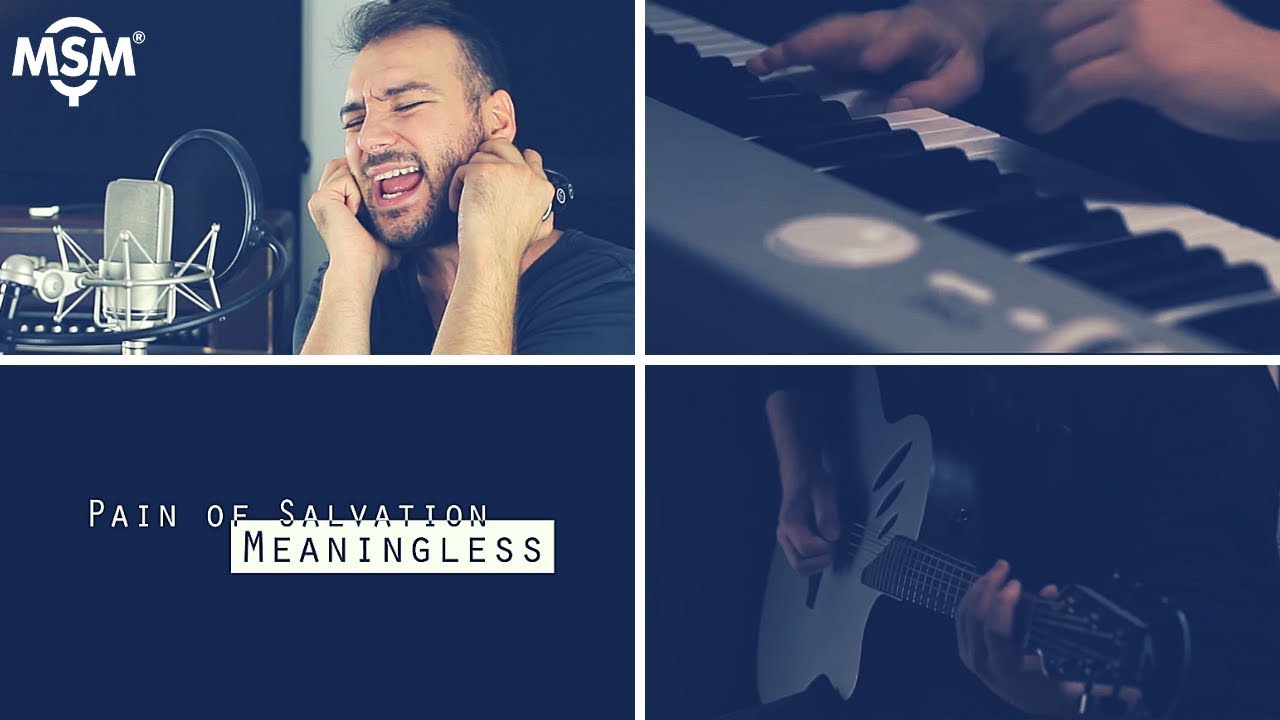 Pain Of Salvation - Meaningless - Vocal Cover feat. In The Loop