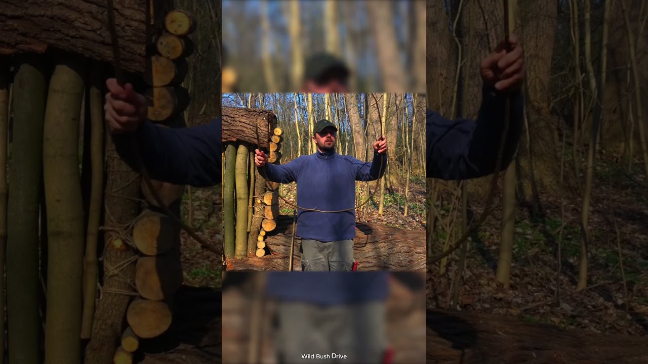 I Built a Hidden Shelter Inside a Fallen Tree Hollow