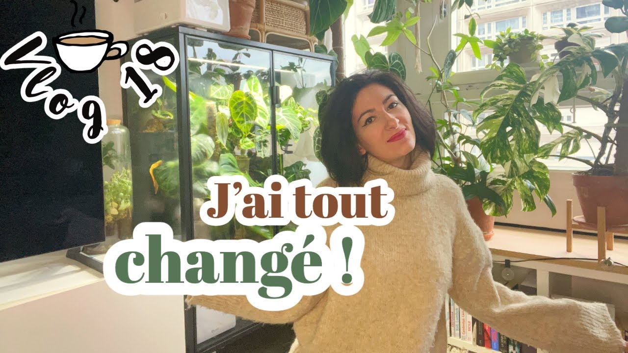 Vlog • nouvelle vitrine ikea, updates déco & plante wishlist !