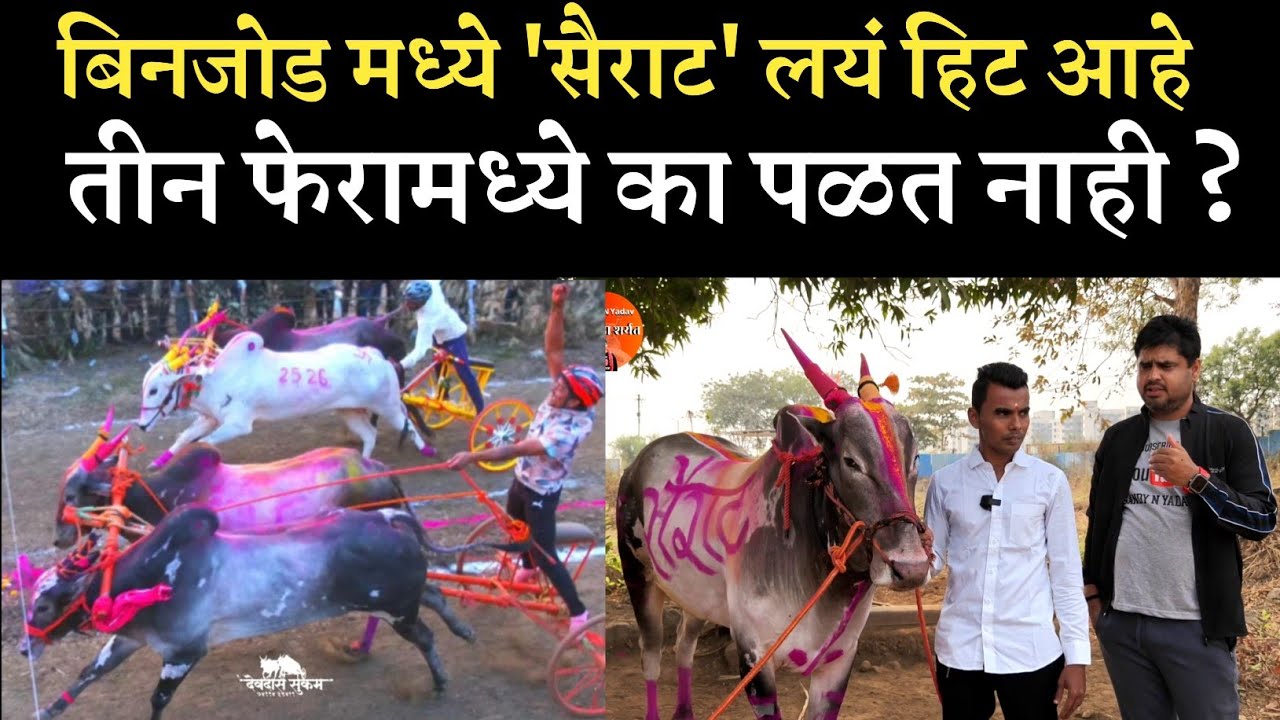  डोंबिवली एक्सप्रेस सैराट करतोय कमाल...