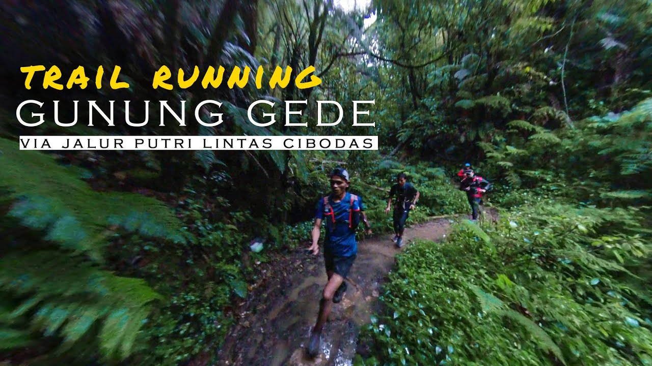 Trail Running Gunung Gede | Putri Lintas Cibodas