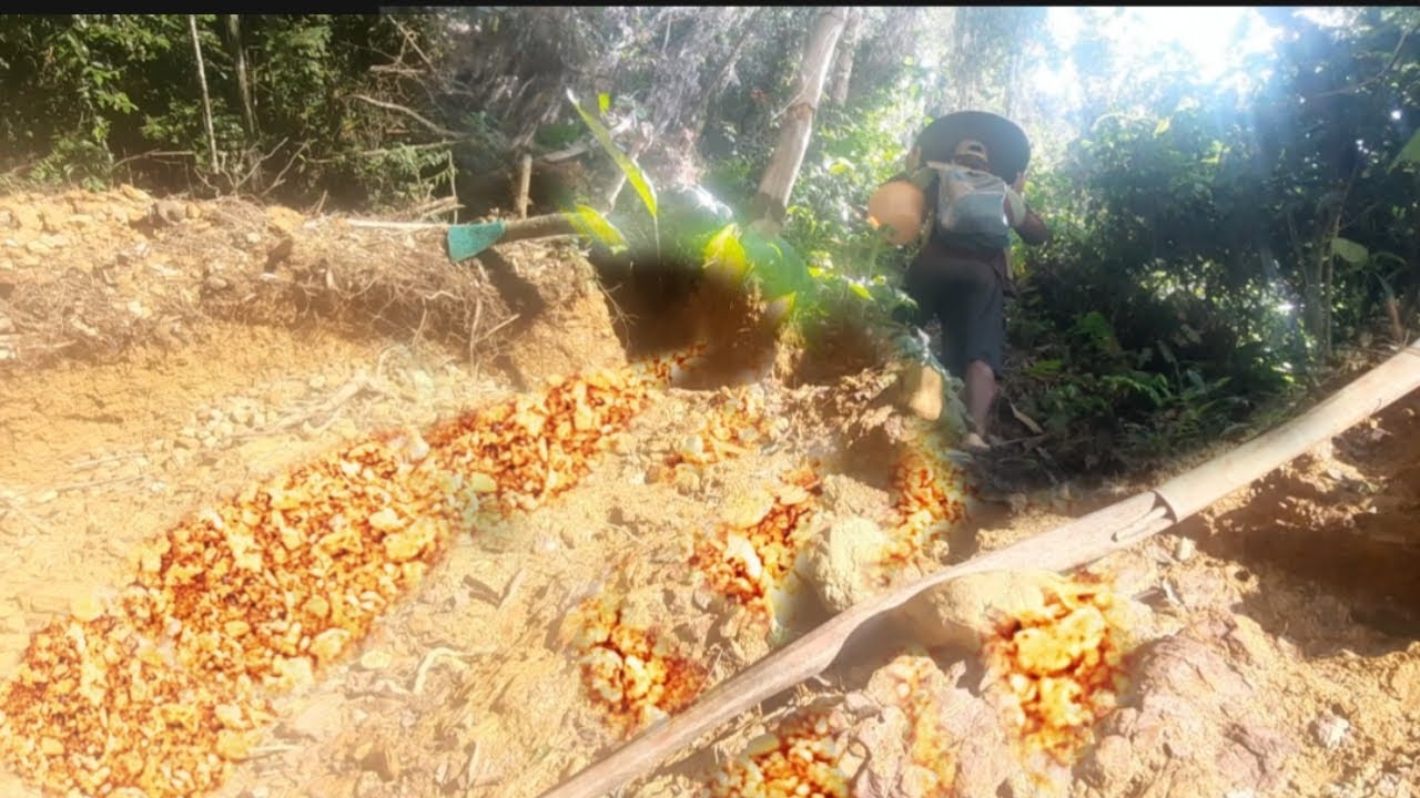 Pagold panning authenticity pact #hartakarun #gold panning #profitmaking #traditional mining