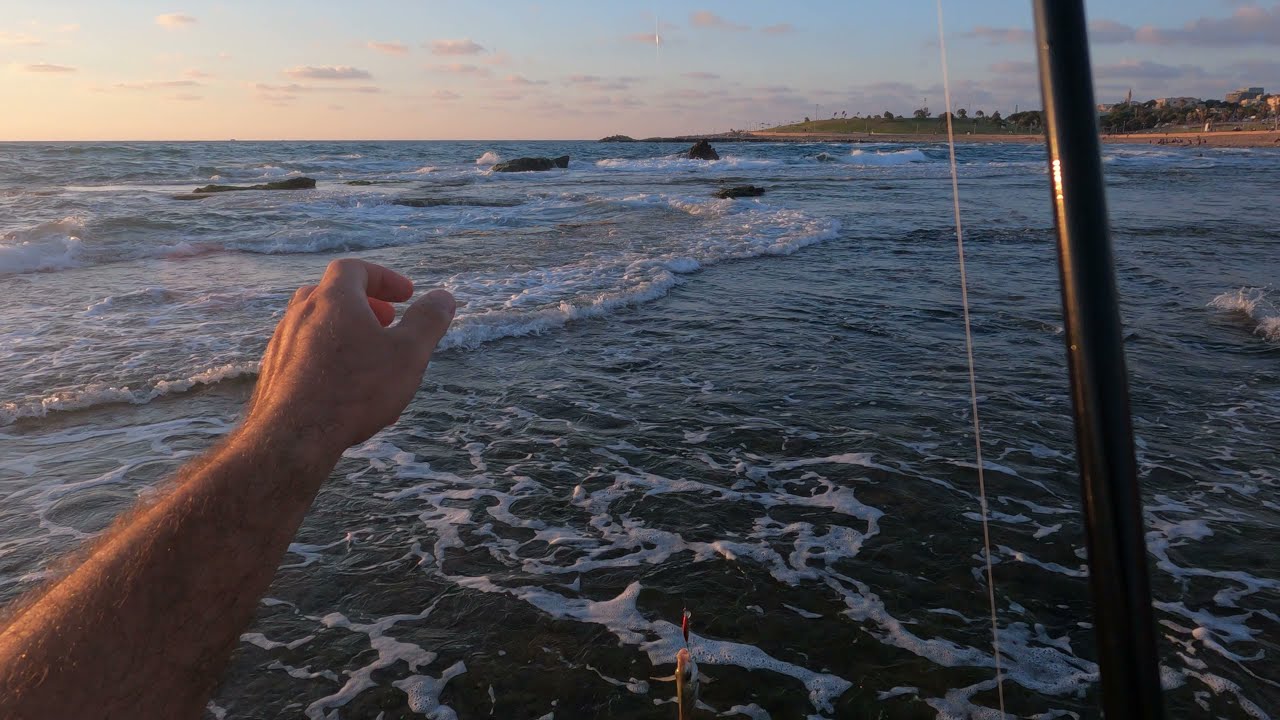 דייג 2021 סרגוסים saltwater ultralight fishing sargo & grouper