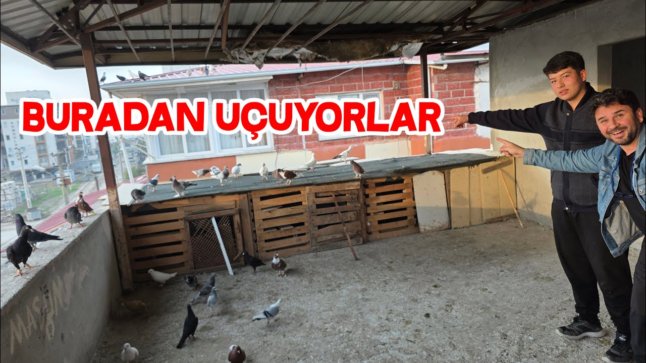 Musa Kardeşimiz Öyle Bir Yerde Güvercin Besliyor Ki