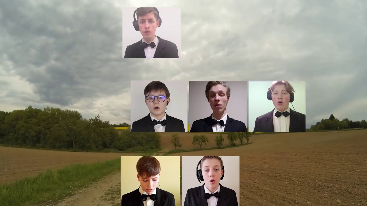 Berniukų chorinio dainavimo mokykla 