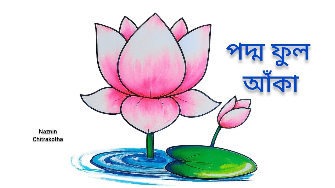 প দিয়ে পদ্ম ফুল আঁকা | Lotus Drawing Step by Step | ফুল আঁকার সহজ পদ্ধতি | Naznin Chitrakotha