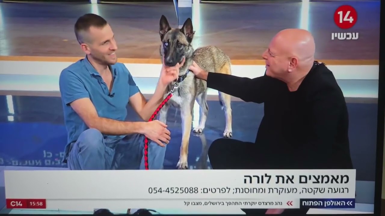 לורה מחפשת בית !