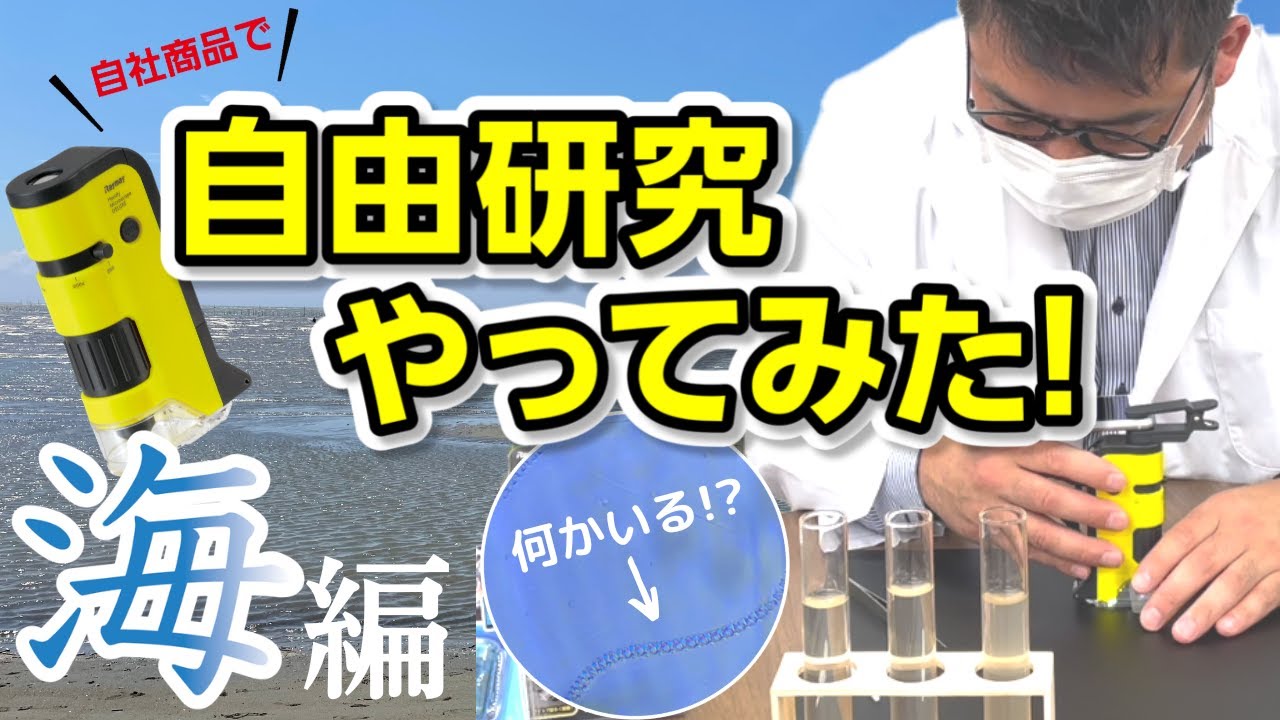 【ハンディ顕微鏡DX】自社商品で自由研究やってみた！海編　夏休みの自由研究に！海で採取した微生物を観察してみました！【自由研究】
