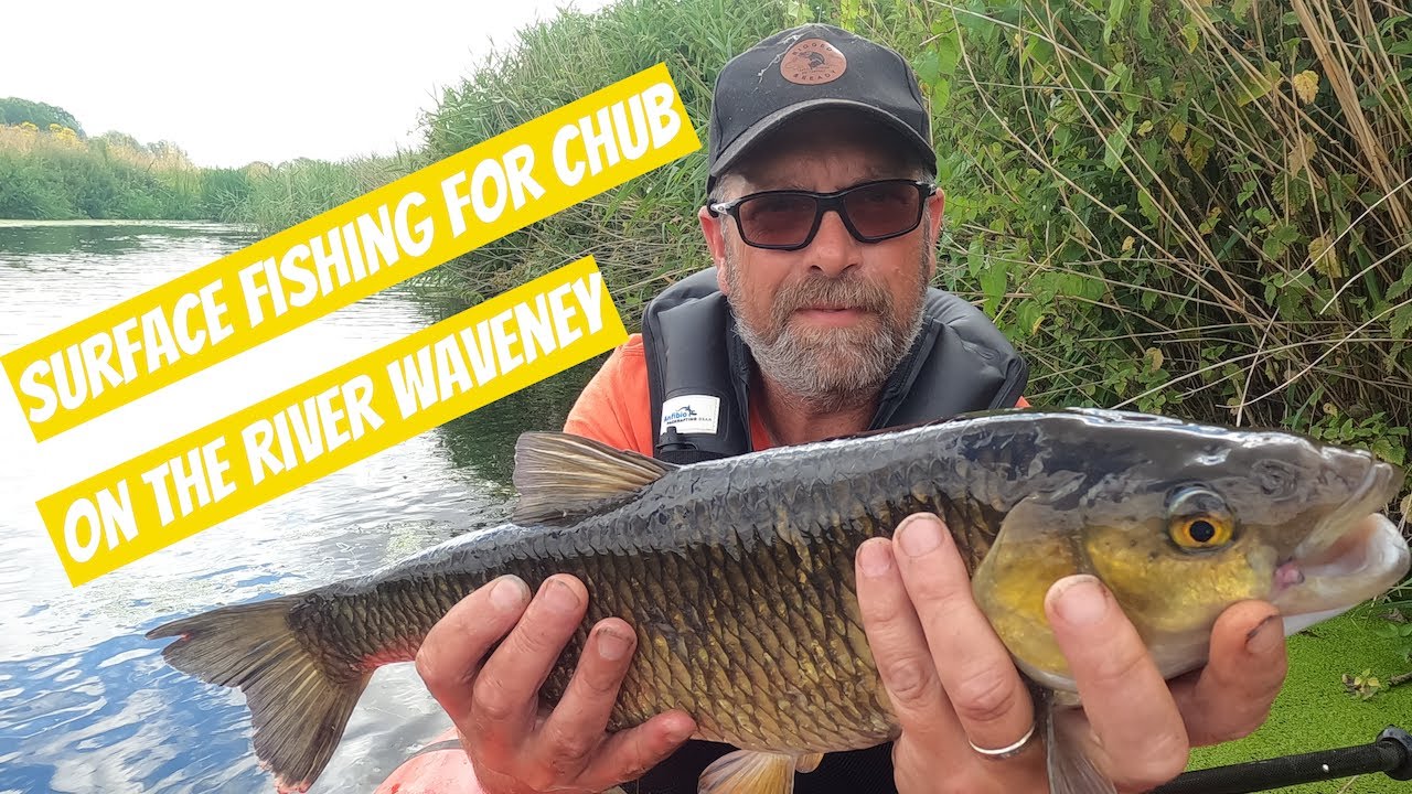 Surface fishing for Chub on the River Waveney.