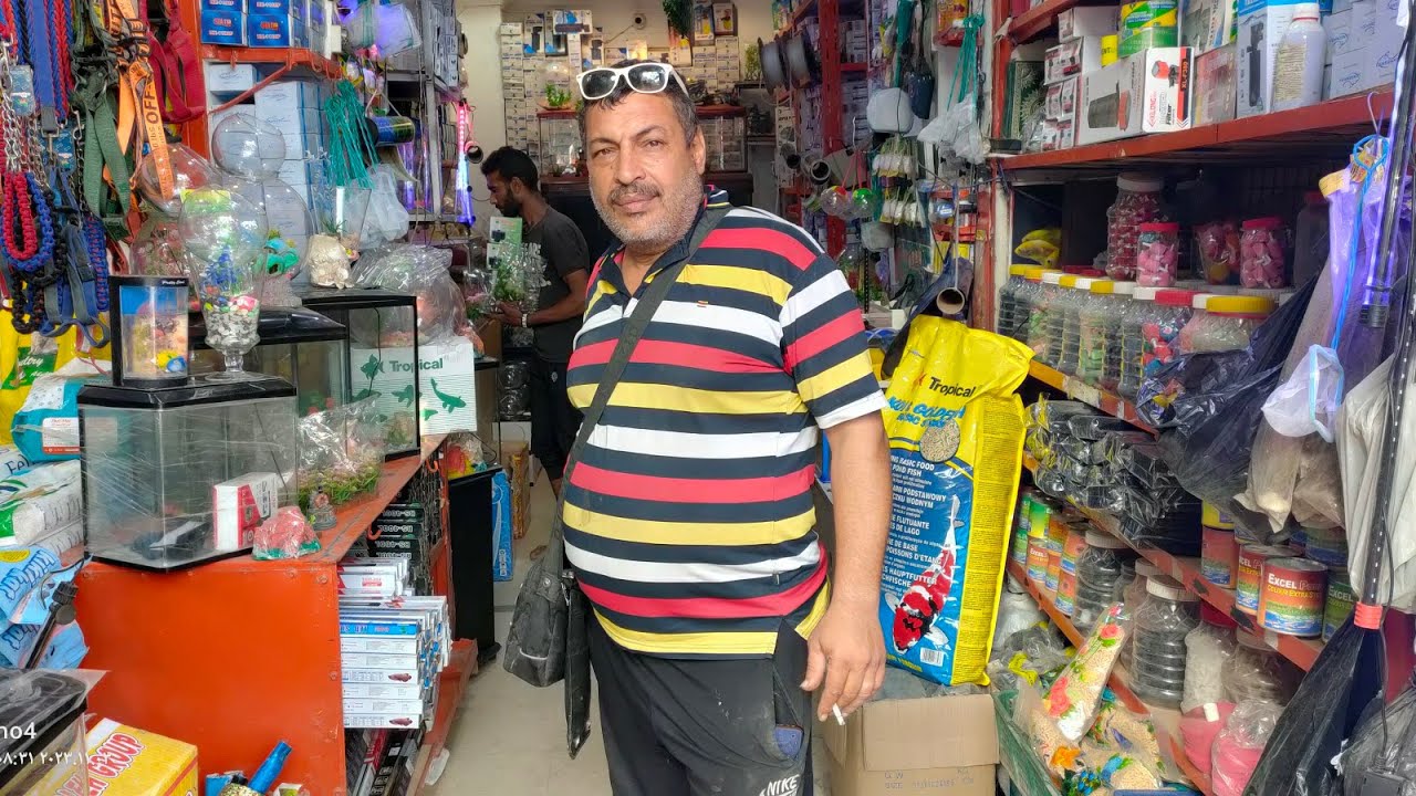 سوق الجمعه بالسيده عائشه مع محمد سكر عروض لمده شهر  جميع انواع واكسسوارات الحيوانات وأسماك الزينه