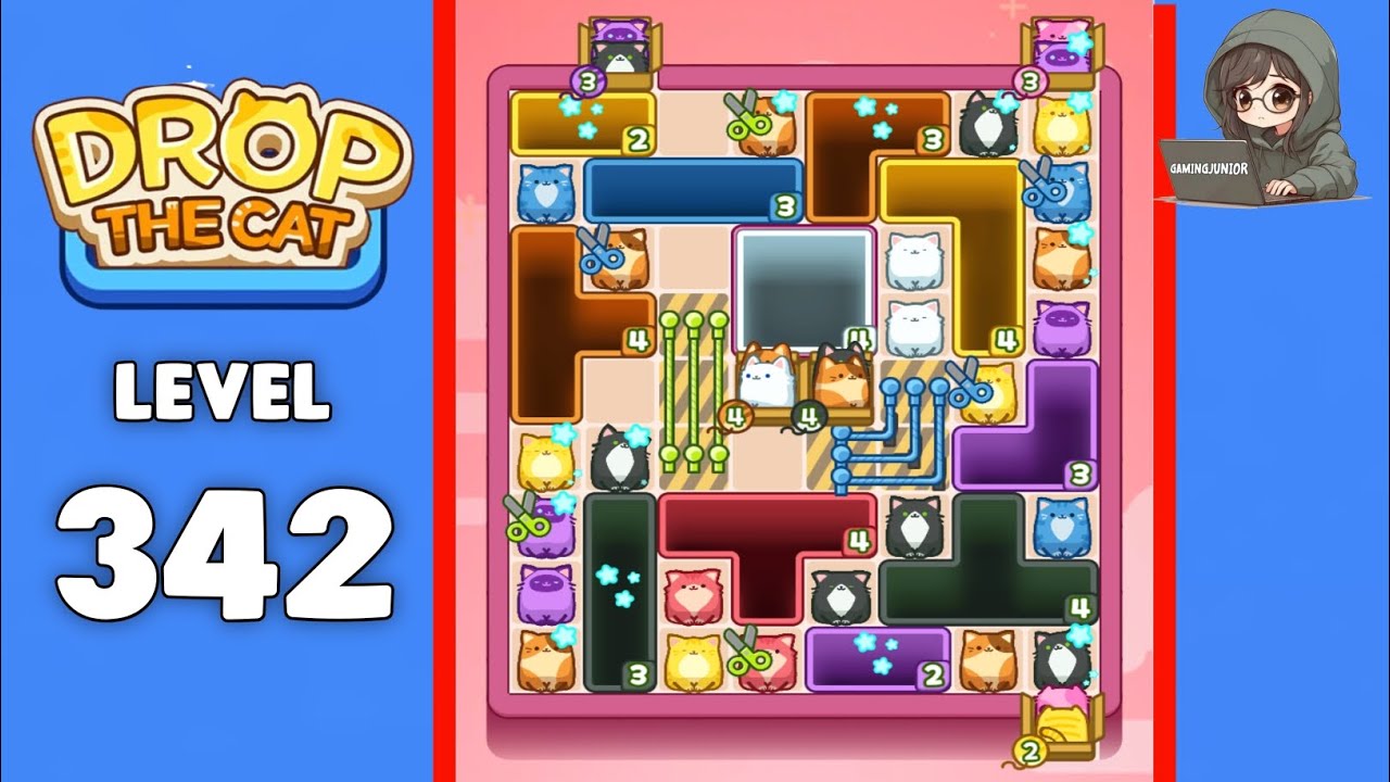 Drop The Cat level 342 solution 