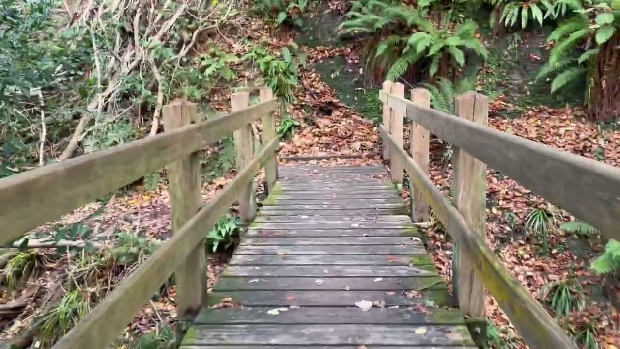 Hastings Waterfall Walk (Little Roar Gill), East Sussex, UK