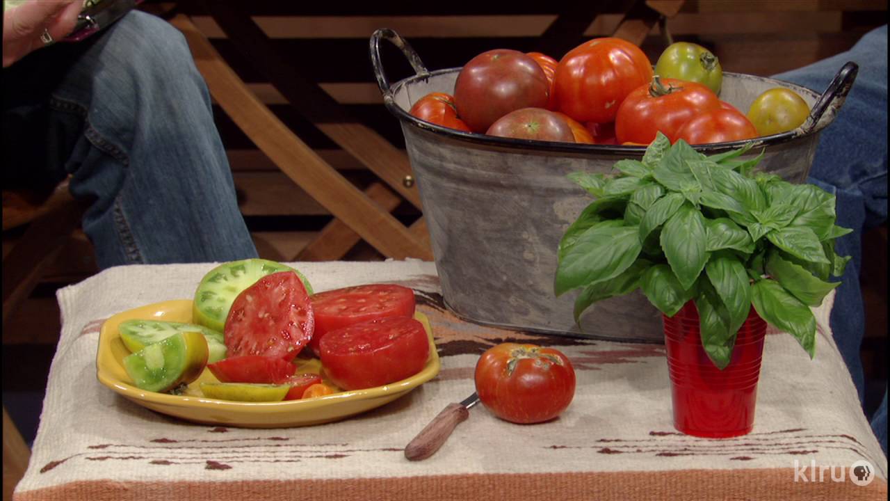Tomato Superstars |Bill Adams |Central Texas Gardener