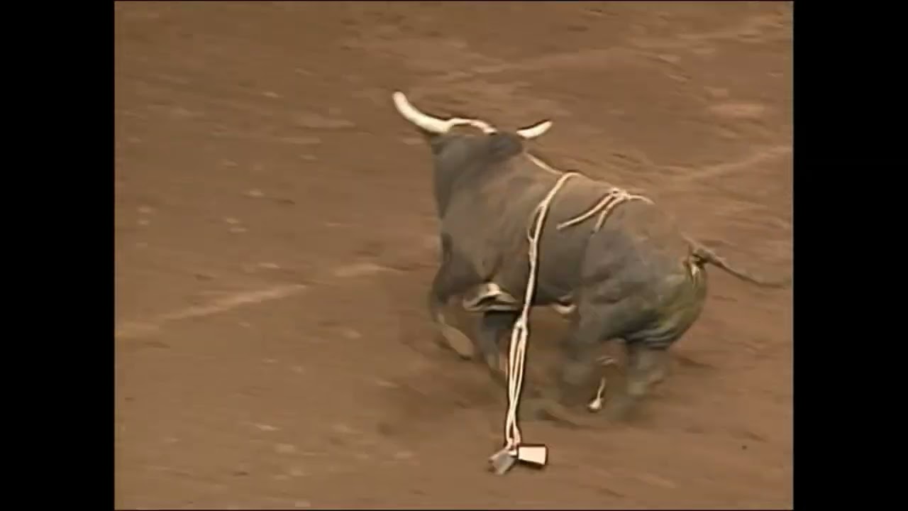 Jason Bennett vs Undertaker - 00 PBR Guthrie (88 pts)