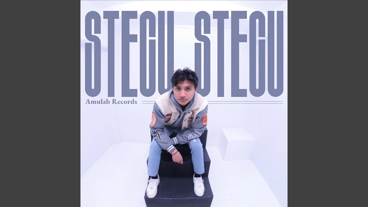 Stecu Stecu