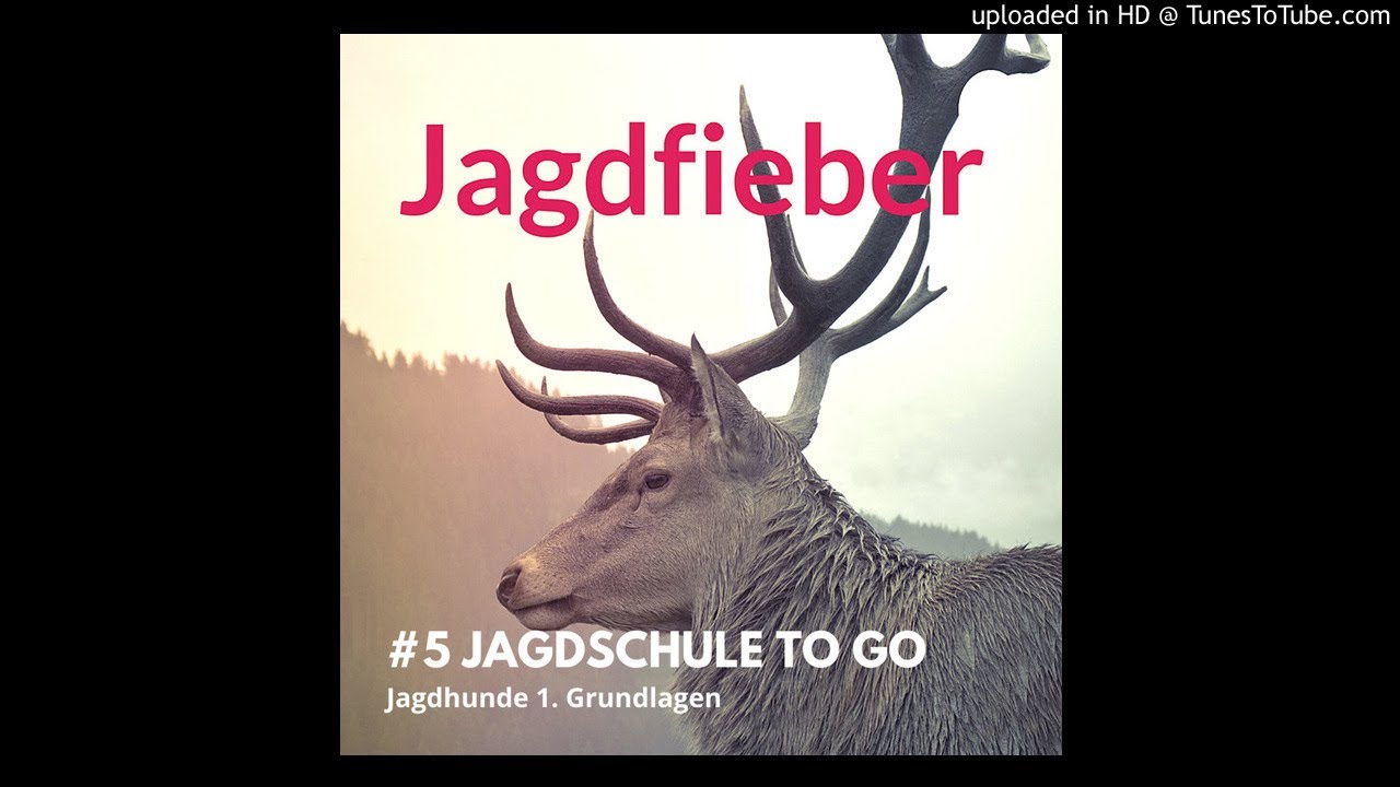 #5 Jagdschule to go Grundlagen Jagdhunde