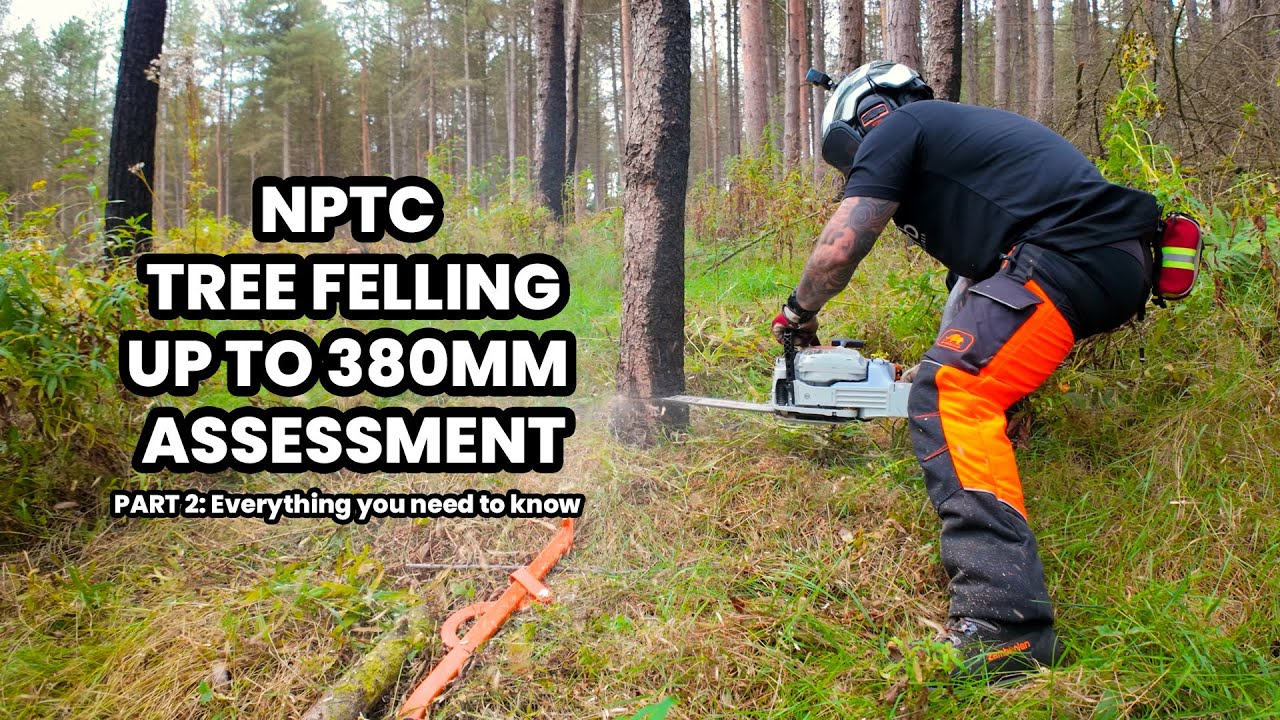 NPTC Felling & Processing Trees up to 380mm | What to Expect on Assessment Day (Part 2/4)