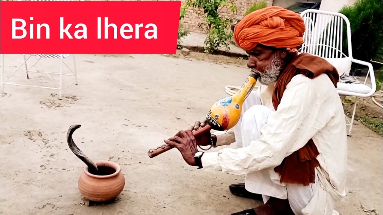 ustad Jafar jogi | bin ka jado saanp mast | jogi snake fun| nagin saaz ' snake or jogi ka muqabla💯