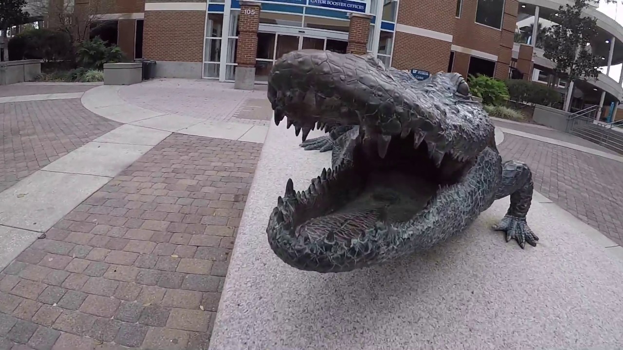Go Gators!