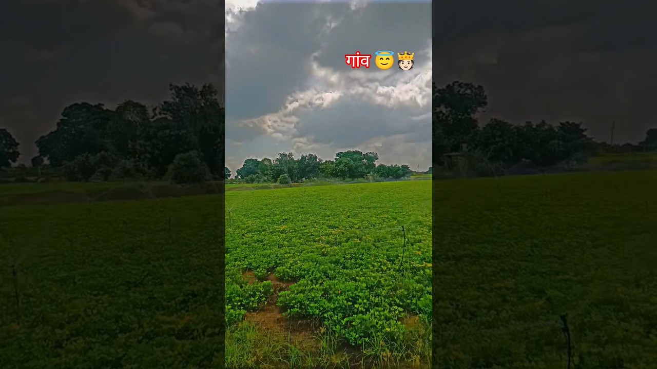गांव 😇🫅🏻 Kishan status #kishanstatus #farmingstatus #farming #farmingfamily