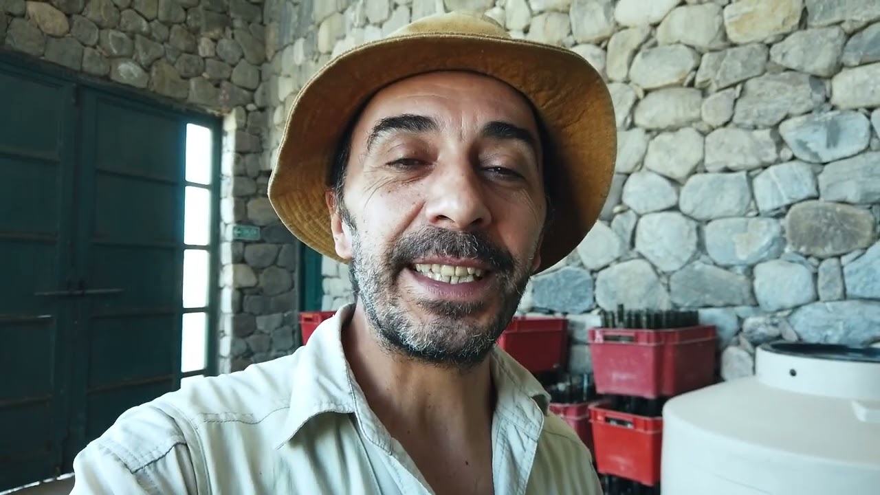 BODEGA COMUNITARIA LOS AMAICHAS
