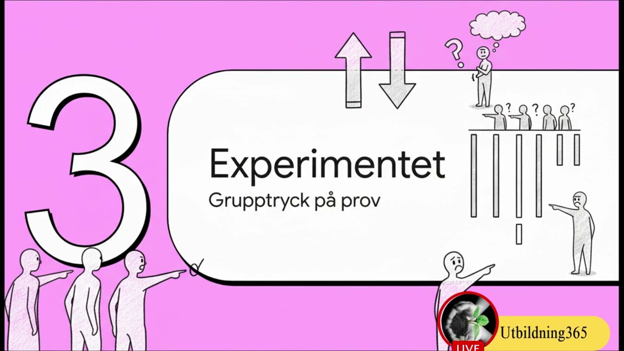 Sociala normer och konformitet-12