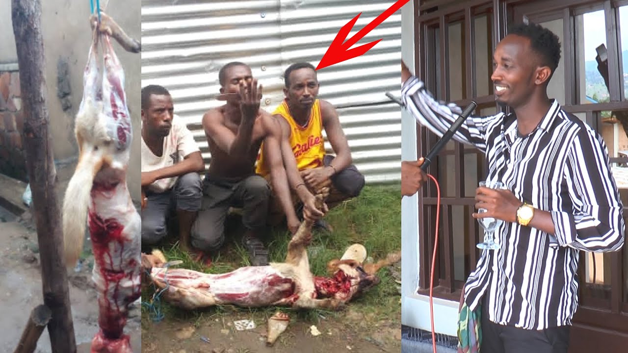 Ukuri kuragiye ahabona | Umwe bavugako arya imbwa | Tumusanze muhira inyuma yokumukura mugasho