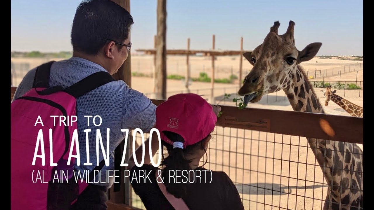 A Trip to AL AIN ZOO (Al Ain Wildlife Park & Resort) | UAE 🇦🇪 | MIKAY TV