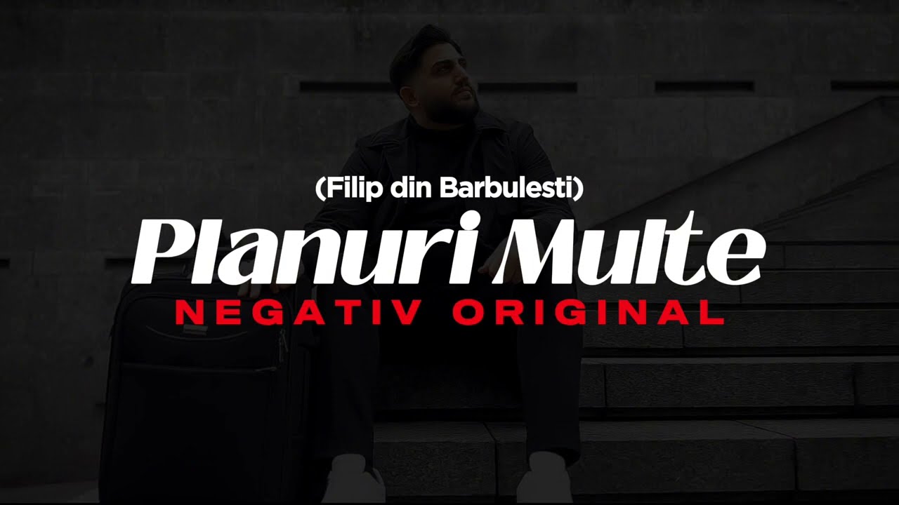Negativ - PLANURI MULTE - Filip din Barbulesti