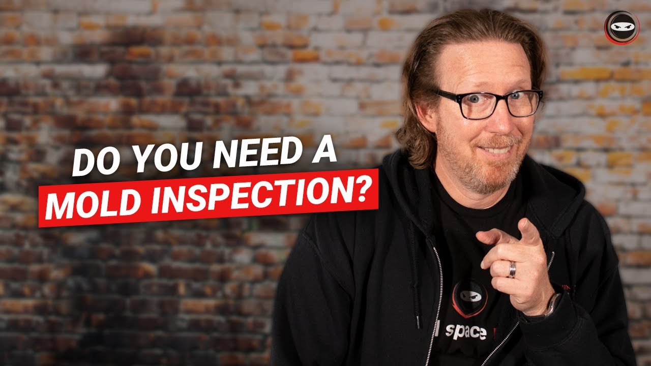 Do You Need a Mold Inspection Prior to Remediation?