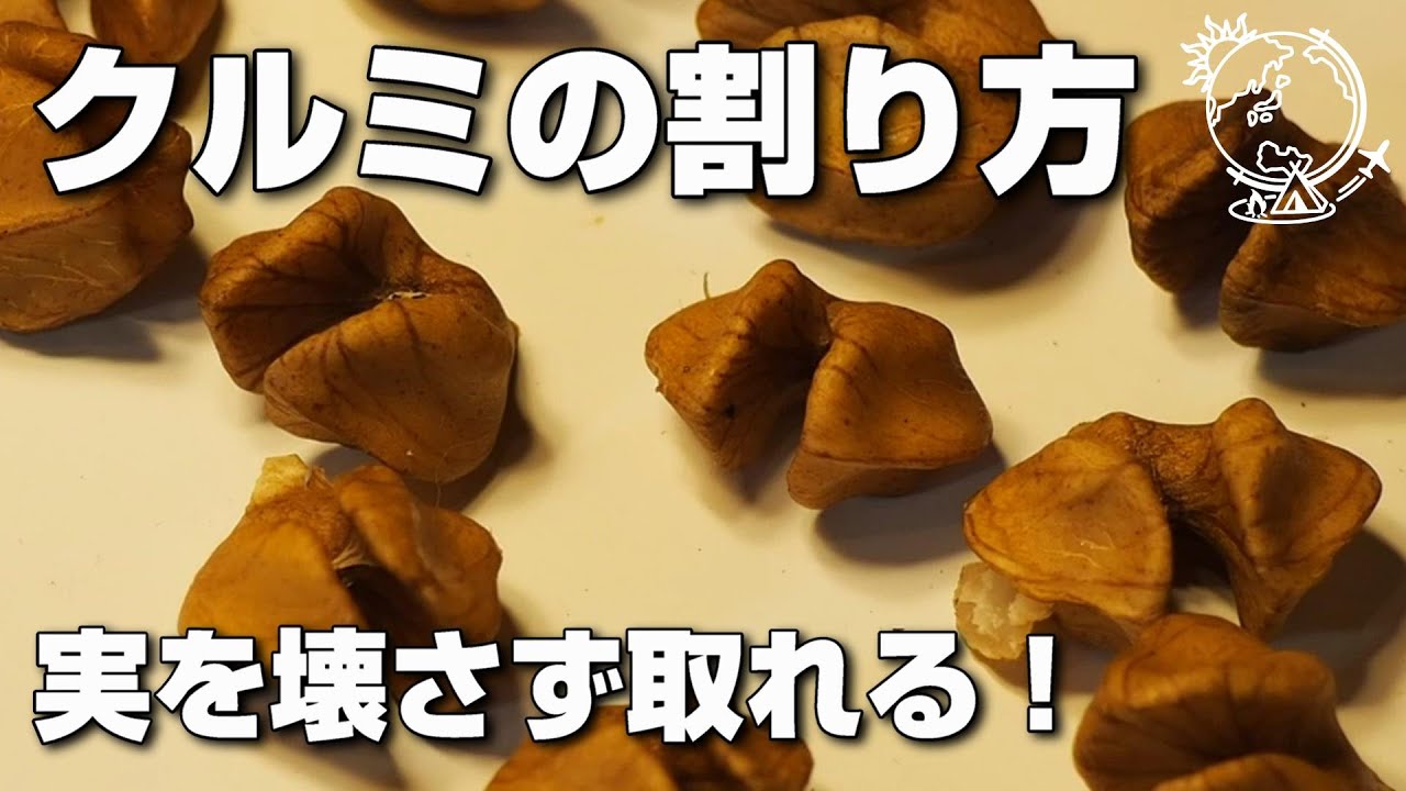 クルミの実を傷付けずにキレイに取り出す方法｜クルミの割り方