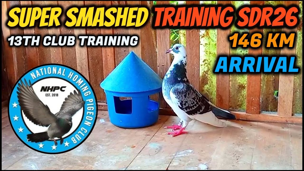 BIGLANG LAYO SUPER SMASHED TRAINING PADRE BURGOS, QUEZON 146 KM ARRIVAL