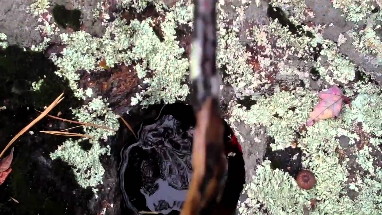 Devil's Hopyard: Where the Devil Comes to Roost, Part III