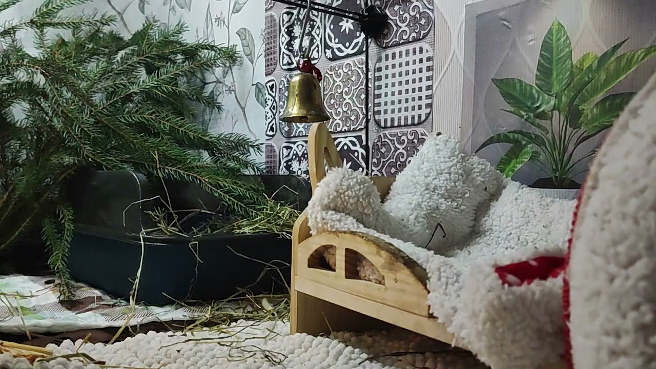 Osa14 joulukuussa marsujen alakerta