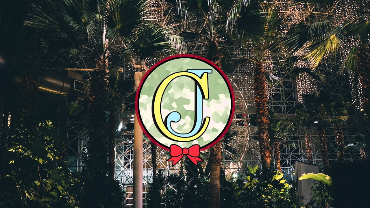 PYRMDPLAZA - Yoshi